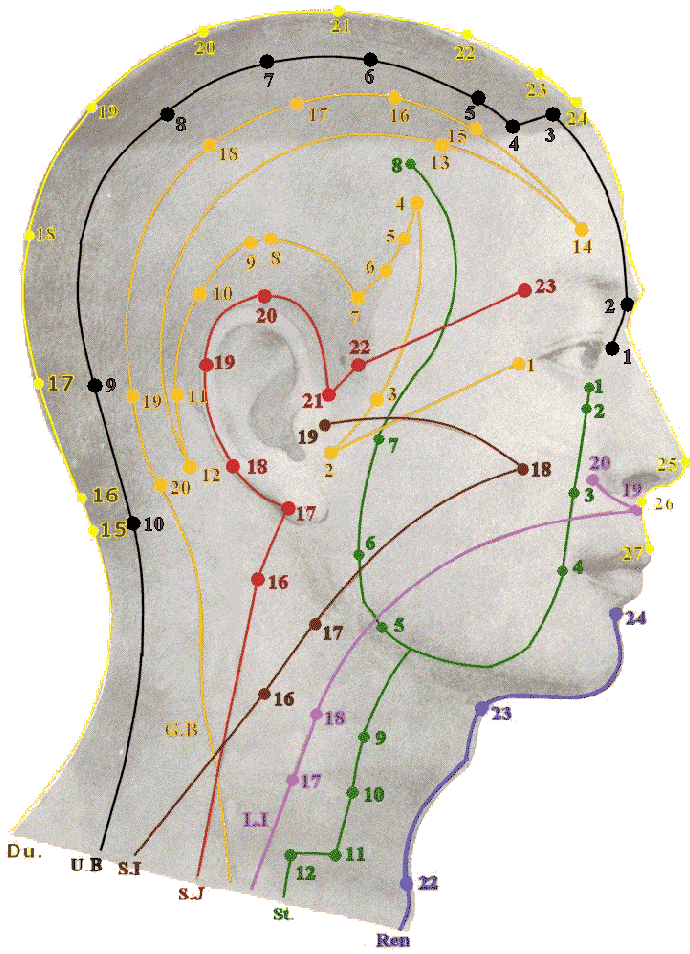 TCM Energetic meridians and channels of the face